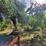 Πανσιόν Filoxenia - The Place Of Experience
