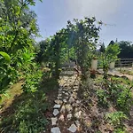 Filoxenia - The Place Of Experience 3* Χειμάρρα
