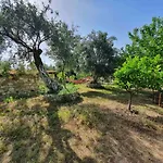 Filoxenia - The Place Of Experience Πανσιόν 3*
