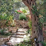 Filoxenia - The Place Of Experience Πανσιόν