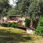 Πανσιόν Filoxenia - The Place Of Experience
