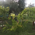 Filoxenia - The Place Of Experience Πανσιόν 3*