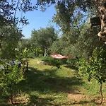 Filoxenia - The Place Of Experience