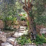 Filoxenia - The Place Of Experience 3* Χειμάρρα