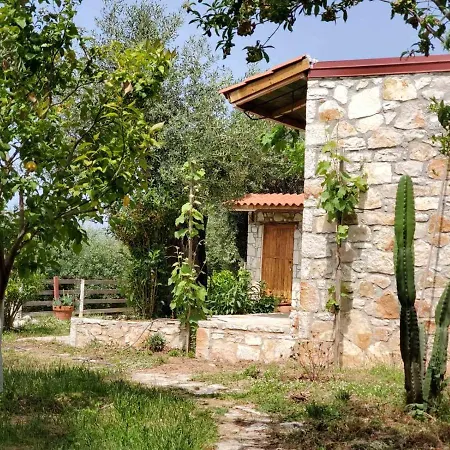 Filoxenia - The Place Of Experience Guest house
