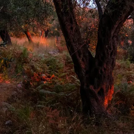Filoxenia - The Place Of Experience Penzion 3*