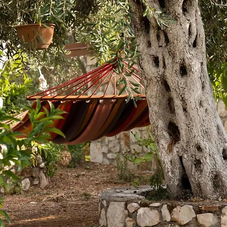 Filoxenia - The Place Of Experience 3* Himare