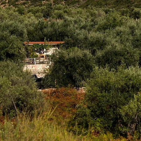 Filoxenia - The Place Of Experience 3* Himare