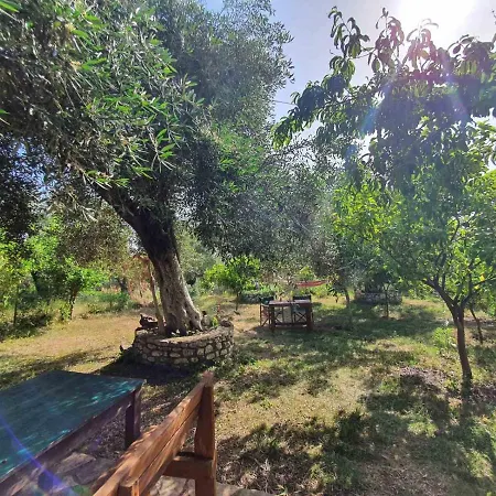 Konukevi Filoxenia - The Place Of Experience