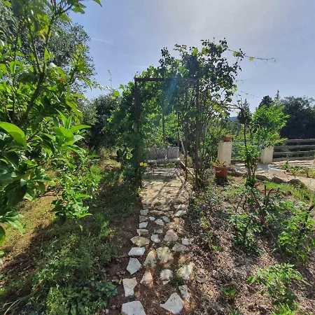 Filoxenia - The Place Of Experience 3* Himare
