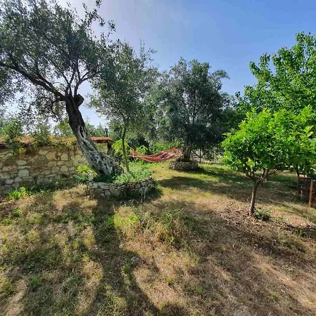 Filoxenia - The Place Of Experience Guest house 3*