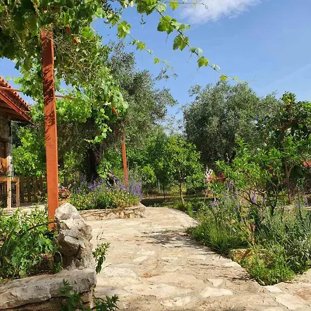 Guest house Filoxenia - The Place Of Experience
