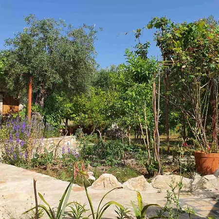 Filoxenia - The Place Of Experience 3* Himare