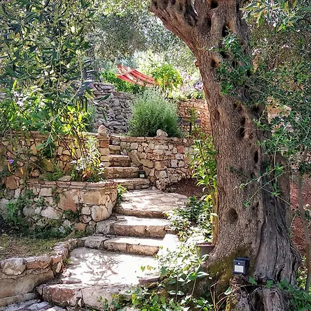 Filoxenia - The Place Of Experience Guest house