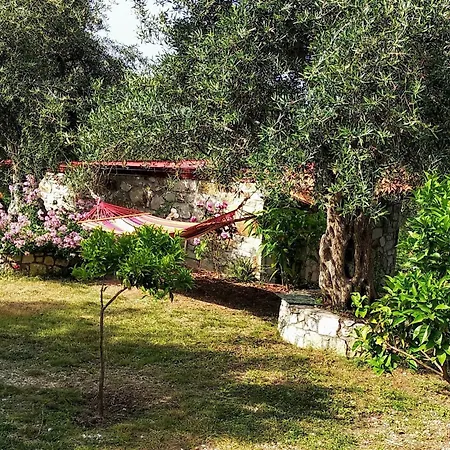 Konukevi Filoxenia - The Place Of Experience