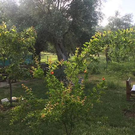 Filoxenia - The Place Of Experience Konukevi 3*