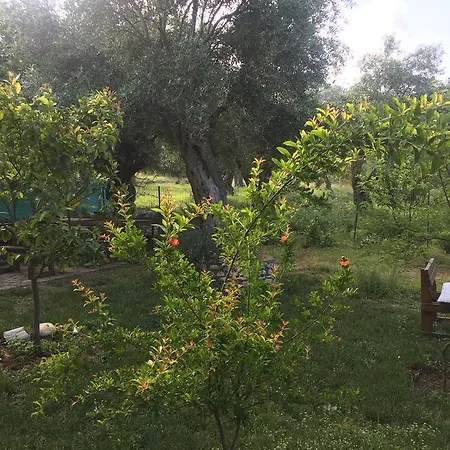 Filoxenia - The Place Of Experience Penzion 3*