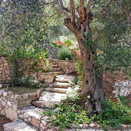 Filoxenia - The Place Of Experience 3* Himare