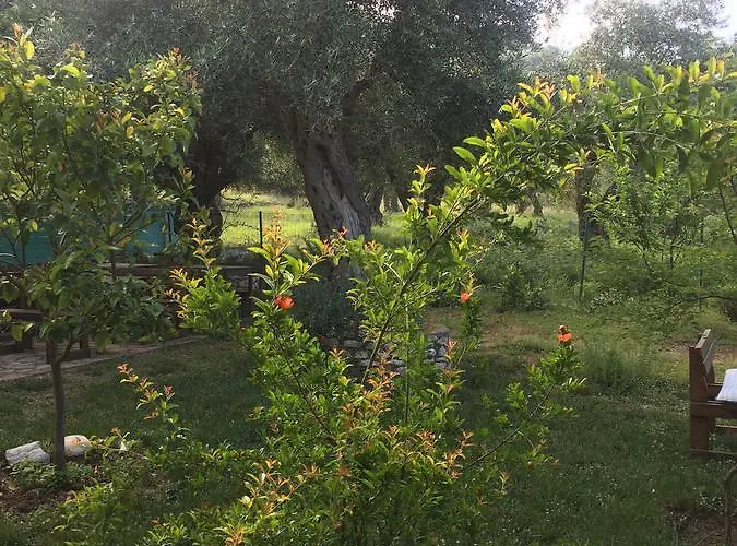 Filoxenia - The Place Of Experience 招待所 3*