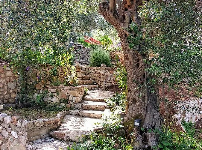 Filoxenia - The Place Of Experience 3* 希马拉